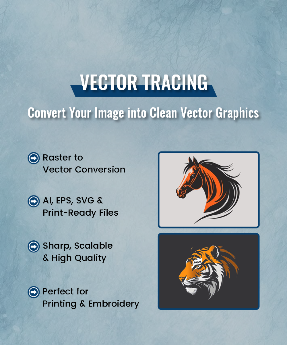 vector